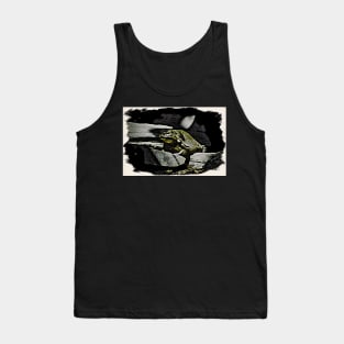 frog / Maléa is looking for the goblin - children's book WolfArt Tank Top